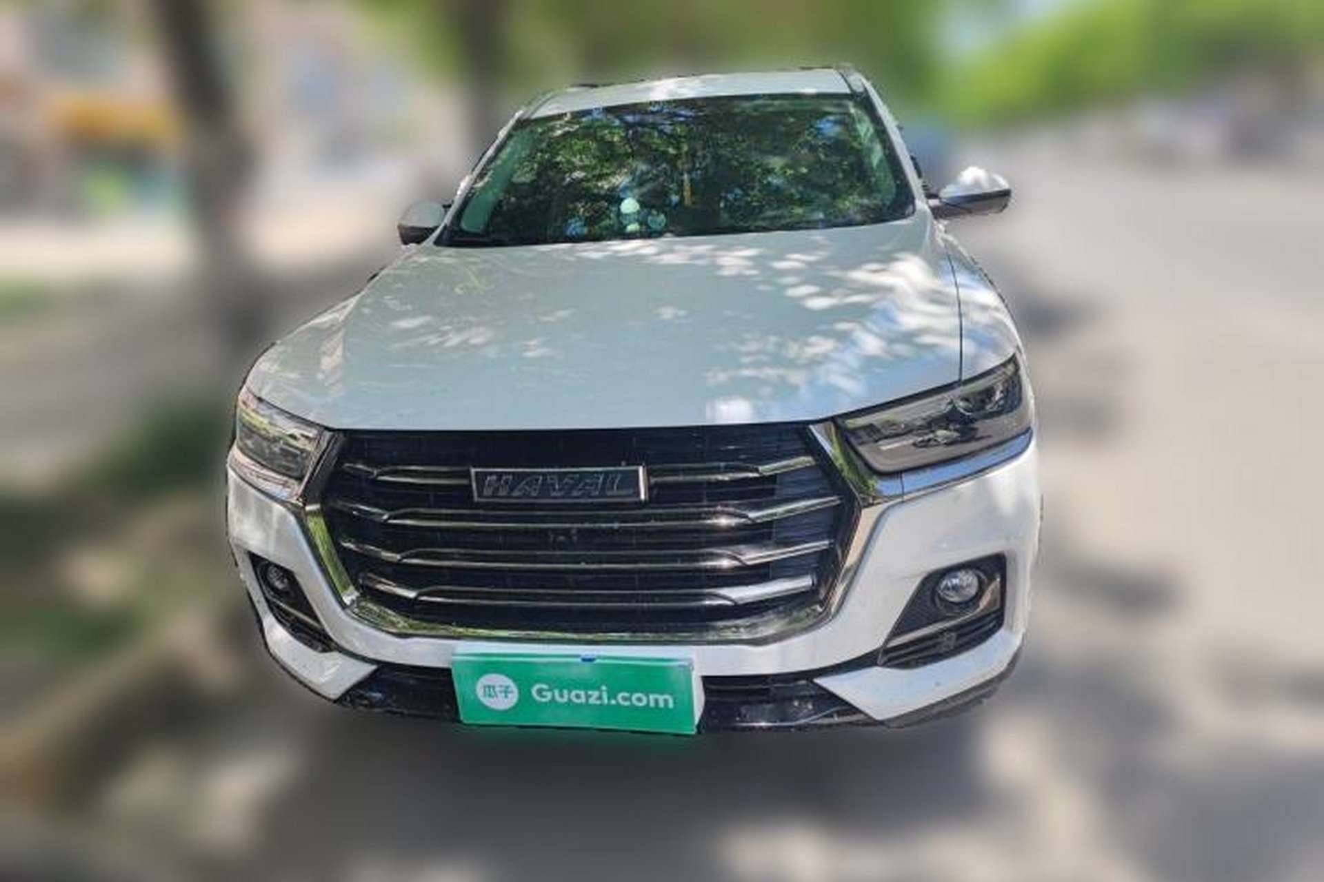 Used Haval H6 2021 National Trend Edition 1.5T Automatic Champion Version Front