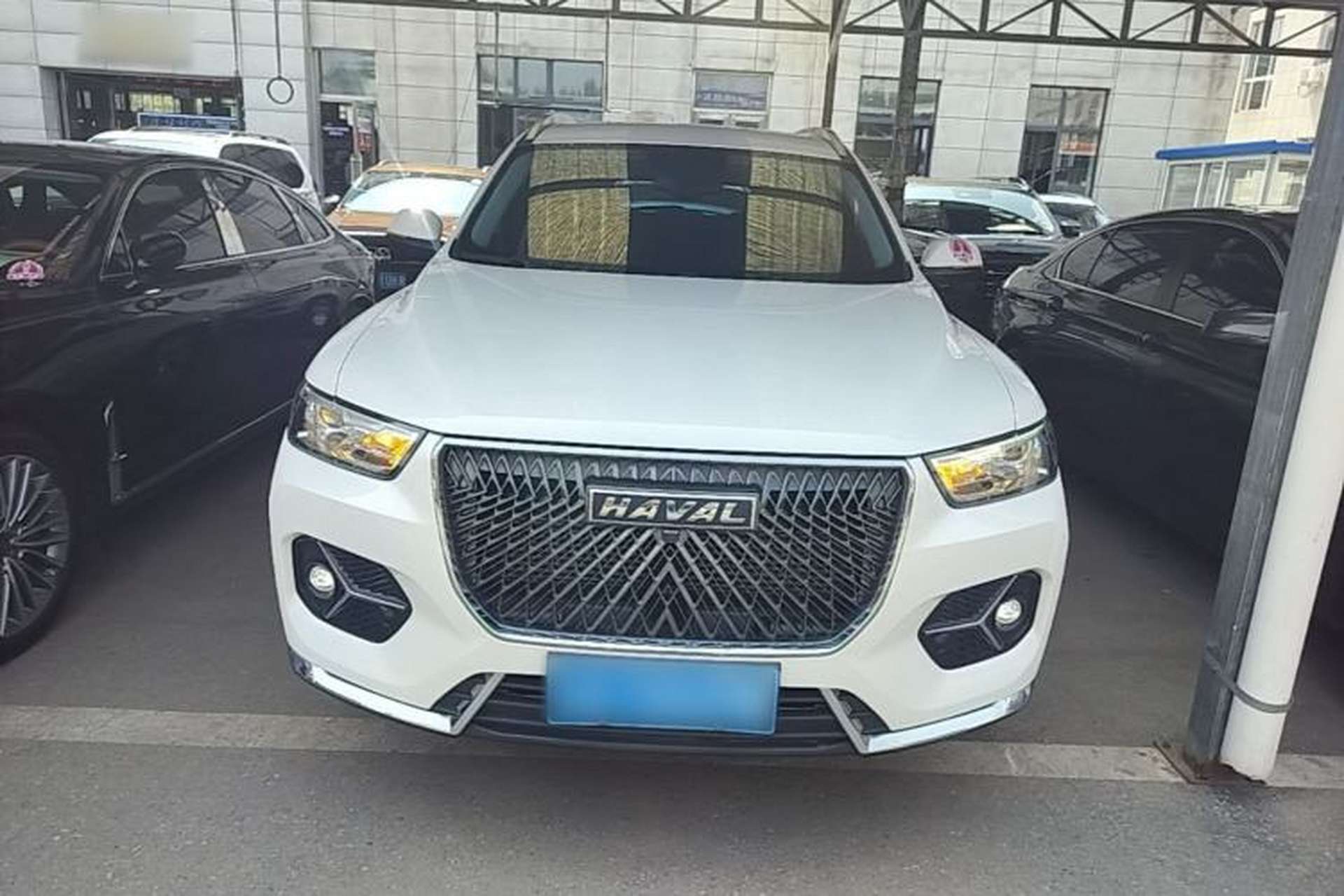 Used Haval H6 2021 1.5T Automatic Urban Edition Front