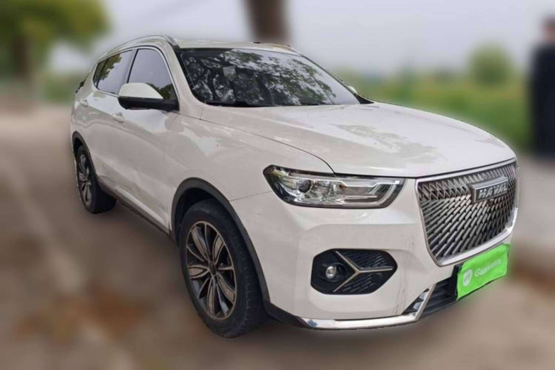 Used Haval H6 2021 1.5T Automatic Champion Edition Front Right 45 Deg