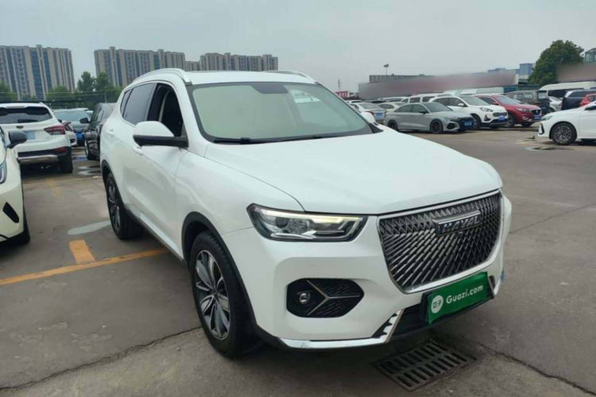 Used Haval H6 2021 1.5T Automatic Champion Edition Front Right 45 Deg