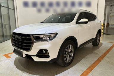 Used Haval H6 2021 National Trend Edition 1.5T Automatic Champion Version