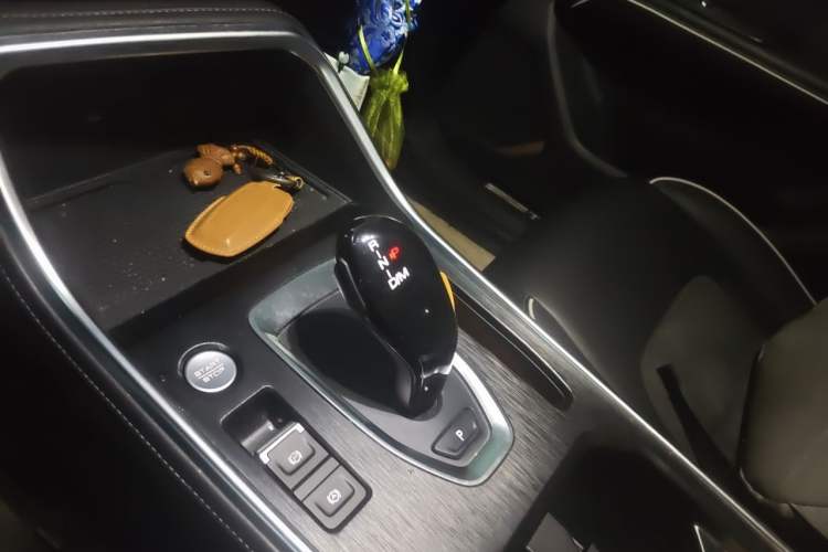 Used Haval H6 2021 National Trend Edition 1.5T Automatic Champion Version Gear Lever