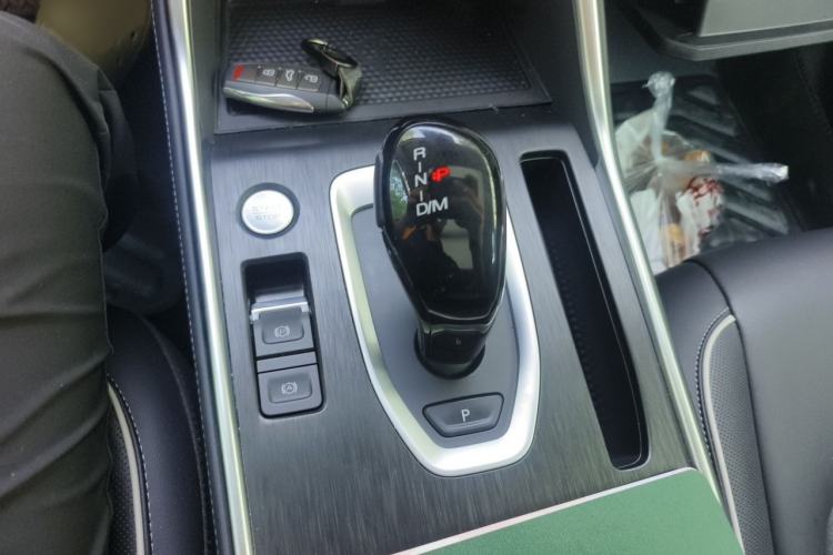 Used Haval H6 2021 China Trend Edition 1.5 GDIT Automatic Champion Version Gear Lever