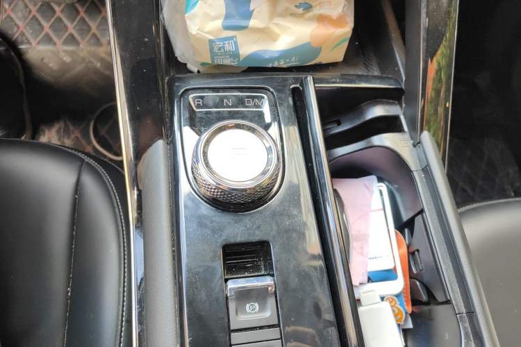 Used Haval H6 2021 3rd Generation 2.0T Automatic Two-Wheel Drive Max Gear Lever
