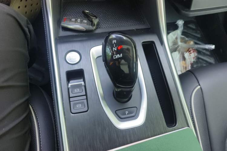 Used Haval H6 2021 China Trend Edition 1.5 GDIT Automatic Champion Version Gear Lever