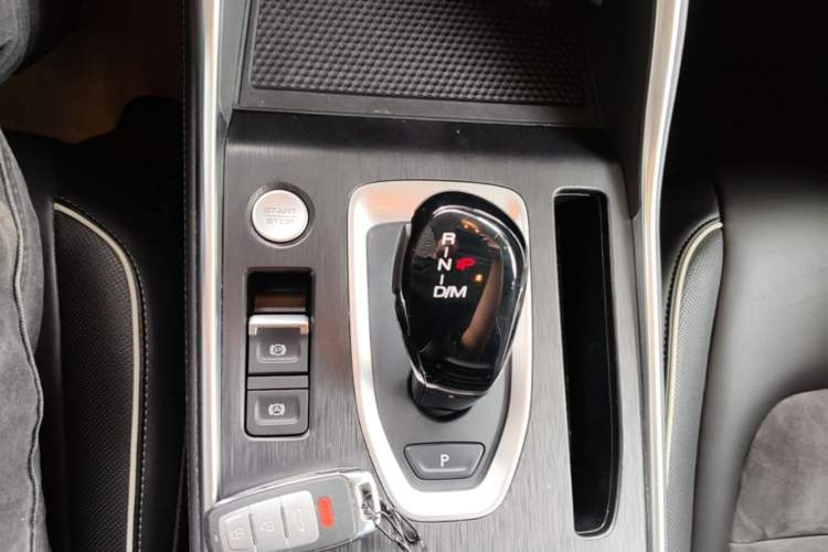 Used Haval H6 2021 National Trend Edition 1.5T Automatic Urban Version Gear Lever