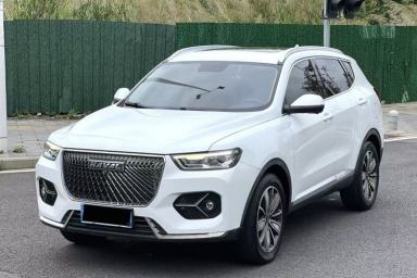 Used Haval H6 2021 1.5T Automatic Champion Edition