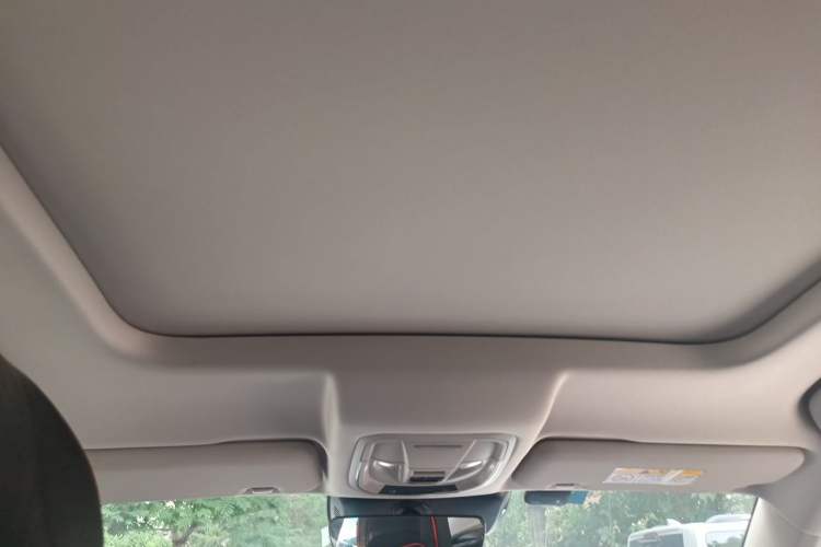 Used Haval H6 2021 3rd Generation 2.0T Automatic Two-Wheel Drive Max Headliner