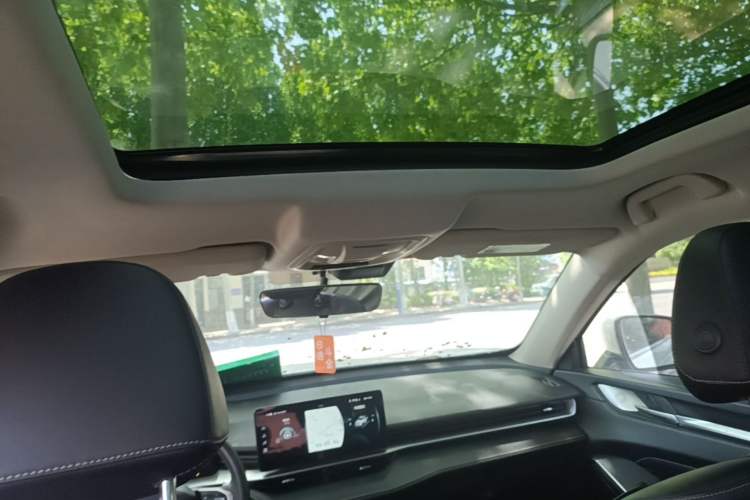 Used Haval H6 2021 3rd Generation 1.5T Automatic Two-Wheel Drive Pro Headliner