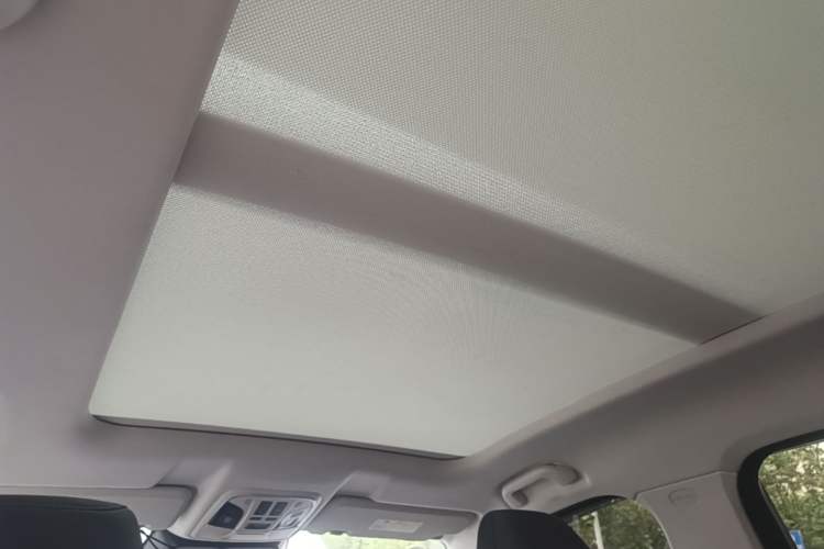 Used Haval H6 2021 National Trend Edition 1.5T Automatic Champion Version Headliner