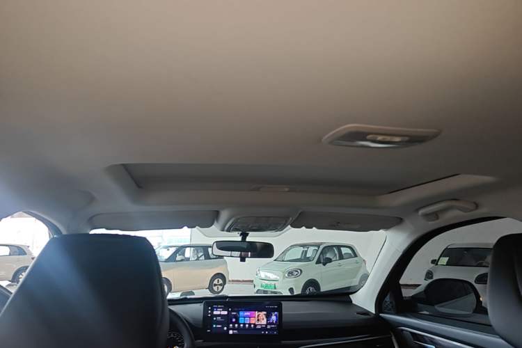 Used Haval H6 2021 National Trend Edition 1.5T Automatic Urban Version Headliner