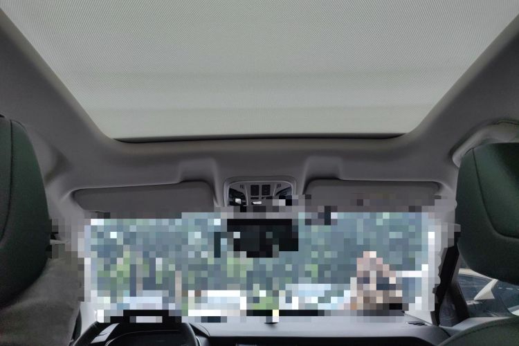Used Haval H6 2021 1.5T Automatic Urban Edition Headliner