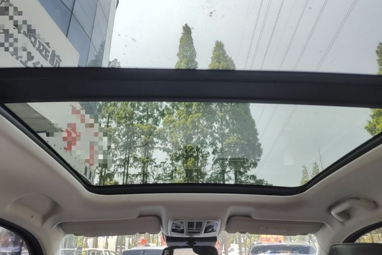 Used Haval H6 2021 1.5T Automatic Champion Edition Headliner
