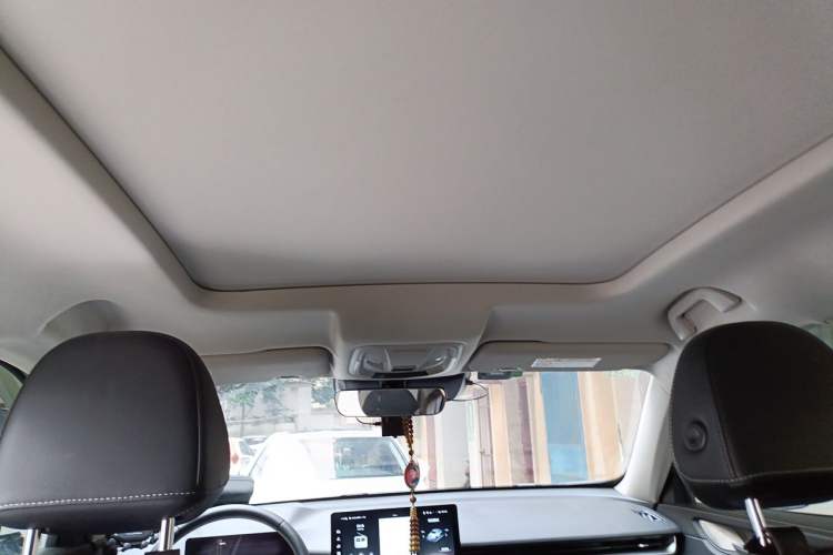 Used Haval H6 2021 3rd Generation 2.0T Automatic Two-Wheel Drive Max Headliner
