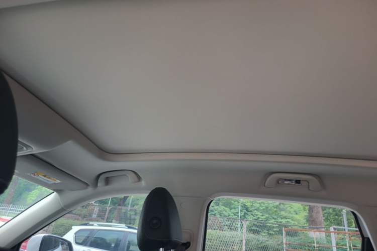 Used Haval H6 2021 3rd Generation 2.0T Automatic Two-Wheel Drive Max Headliner