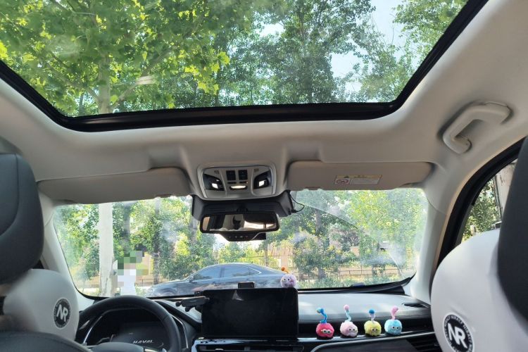 Used Haval H6 2021 National Trend Edition 1.5T Automatic Champion Version Headliner