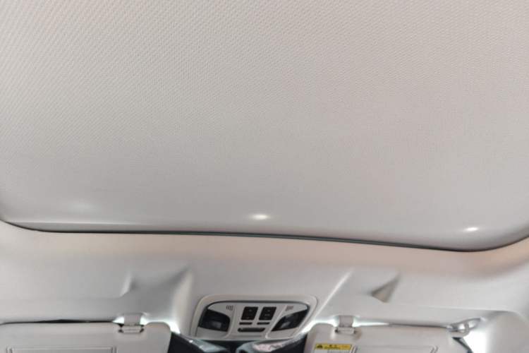 Used Haval H6 2021 1.5T Automatic Champion Edition Headliner