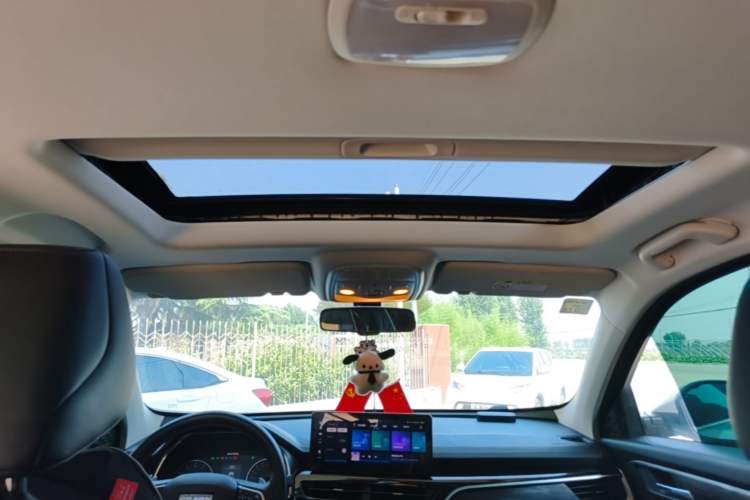Used Haval H6 2021 National Trend Edition 1.5T Automatic Urban Version Headliner