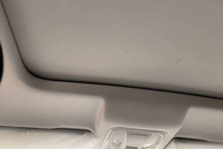 Used Haval H6 2021 3rd Generation 1.5T Automatic Two-Wheel Drive Pro Headliner