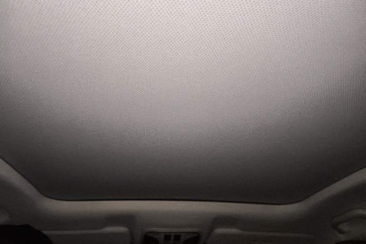 Used Haval H6 2021 1.5T Automatic Urban Edition Headliner