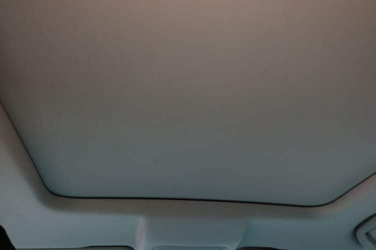 Used Haval H6 2021 3rd Generation 2.0T Automatic Two-Wheel Drive Max Headliner
