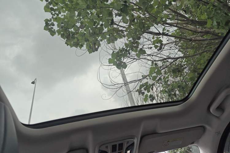 Used Haval H6 2021 1.5T Automatic Urban Edition Headliner