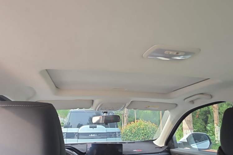 Used Haval H6 2021 National Trend Edition 1.5T Automatic Urban Version Headliner
