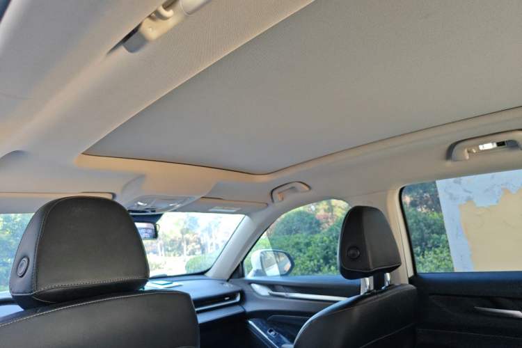 Used Haval H6 2021 3rd Generation 2.0T Automatic Two-Wheel Drive Max Headliner