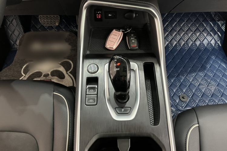 Used Haval H6 2021 National Trend Edition 1.5T Automatic Champion Version Interior 5