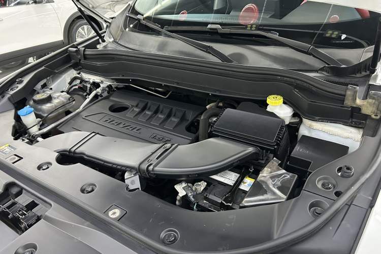 Used Haval H6 2021 National Trend Edition 1.5T Automatic Urban Version Interior 8