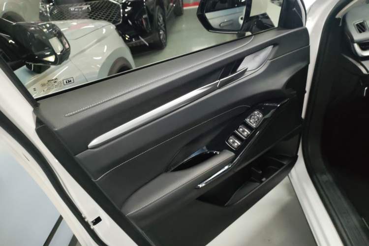 Used Haval H6 2021 3rd Generation 2.0T Automatic Two-Wheel Drive Max Left Front Door Interior