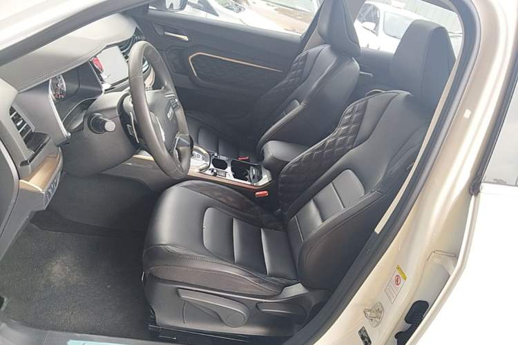 Used Haval H6 2021 1.5T Automatic Urban Edition Left Front Seat
