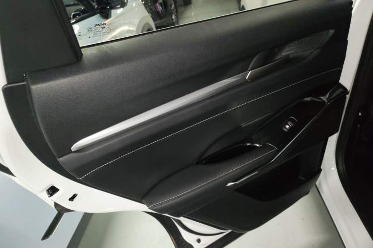 Used Haval H6 2021 3rd Generation 2.0T Automatic Two-Wheel Drive Max Left Rear Door Interior