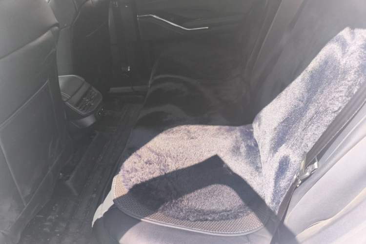 Used Haval H6 2021 3rd Generation 1.5T Automatic Two-Wheel Drive Max Left Rear Seat
