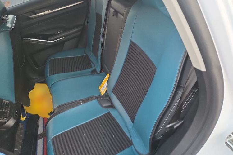 Used Haval H6 2021 3rd Generation 1.5T Automatic Two-Wheel Drive Pro Left Rear Seat