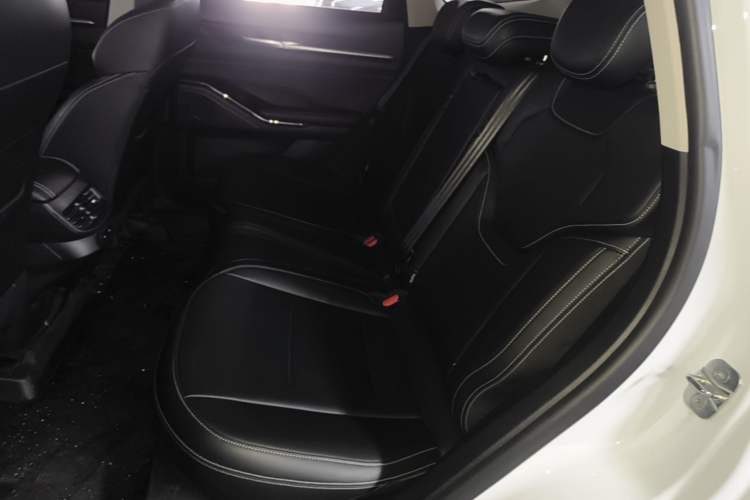 Used Haval H6 2021 3rd Generation 1.5T Automatic Two-Wheel-Drive Supreme Left Rear Seat