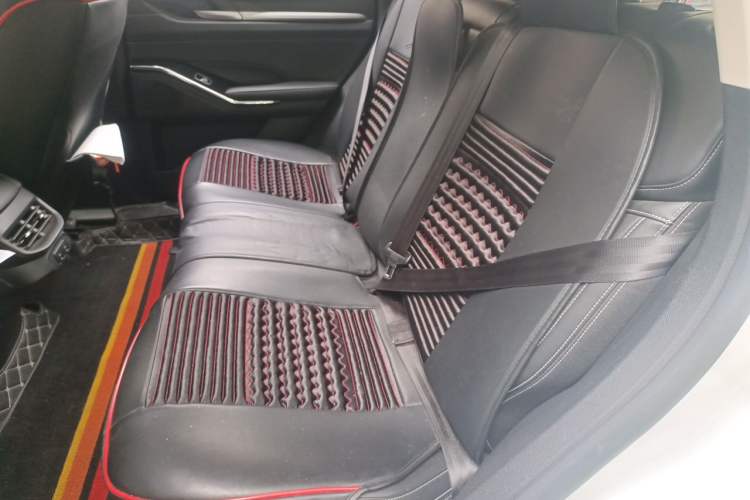 Used Haval H6 2021 3rd Generation 2.0T Automatic Two-Wheel Drive Max Left Rear Seat