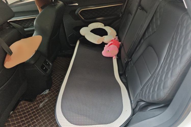 Used Haval H6 2021 1.5T Automatic Champion Edition Left Rear Seat