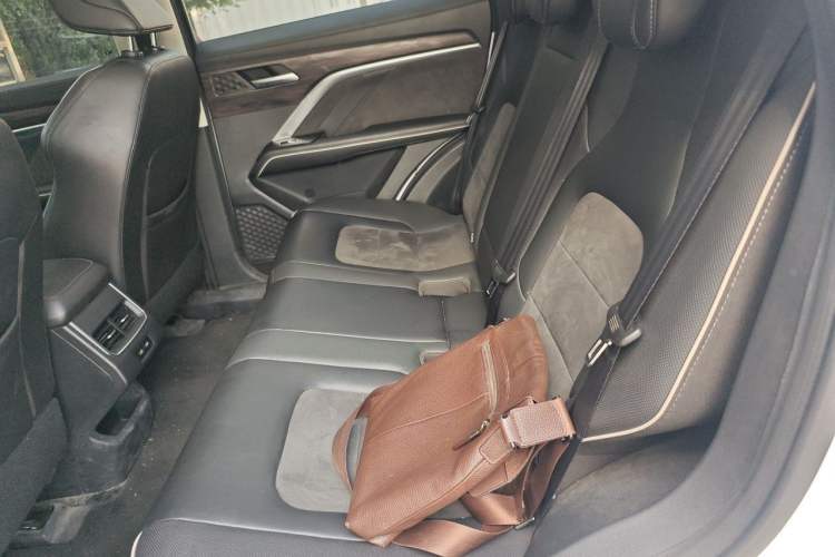Used Haval H6 2021 China Trend Edition 1.5 GDIT Automatic Champion Version Left Rear Seat