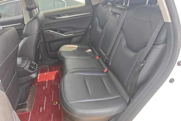 Used Haval H6 2021 3rd Generation 2.0T Automatic Two-Wheel Drive Max Left Rear Seat