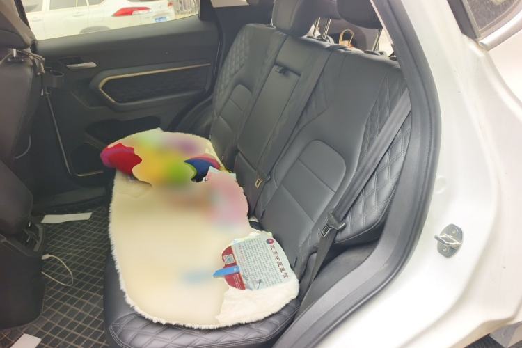 Used Haval H6 2021 1.5T Automatic Champion Edition Left Rear Seat