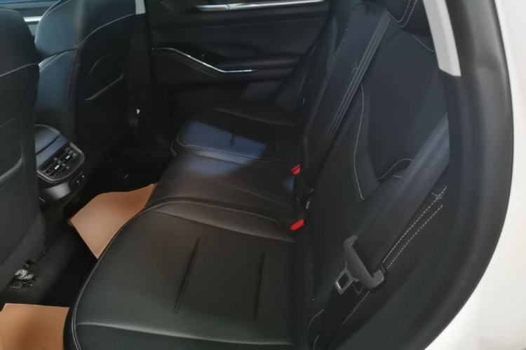 Used Haval H6 2021 3rd Generation 2.0T Automatic Two-Wheel Drive Max Left Rear Seat