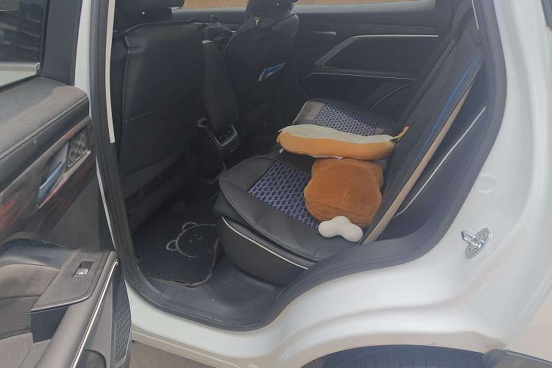 Used Haval H6 2021 National Trend Edition 1.5T Automatic Champion Version Left Rear Seat