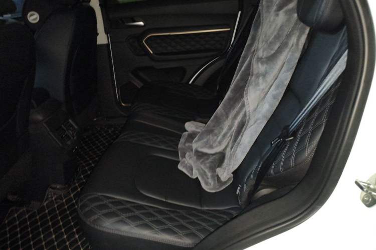 Used Haval H6 2021 1.5T Automatic Champion Edition Left Rear Seat