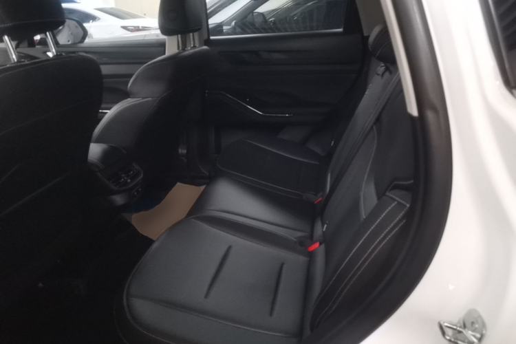 Used Haval H6 2021 3rd Generation 2.0T Automatic Two-Wheel Drive Max Left Rear Seat