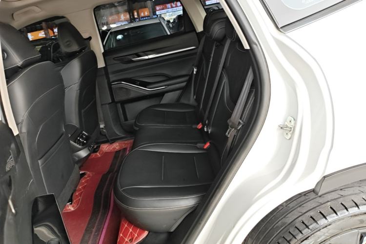 Used Haval H6 2021 3rd Generation 2.0T Automatic All-Wheel Drive Max Left Rear Seat