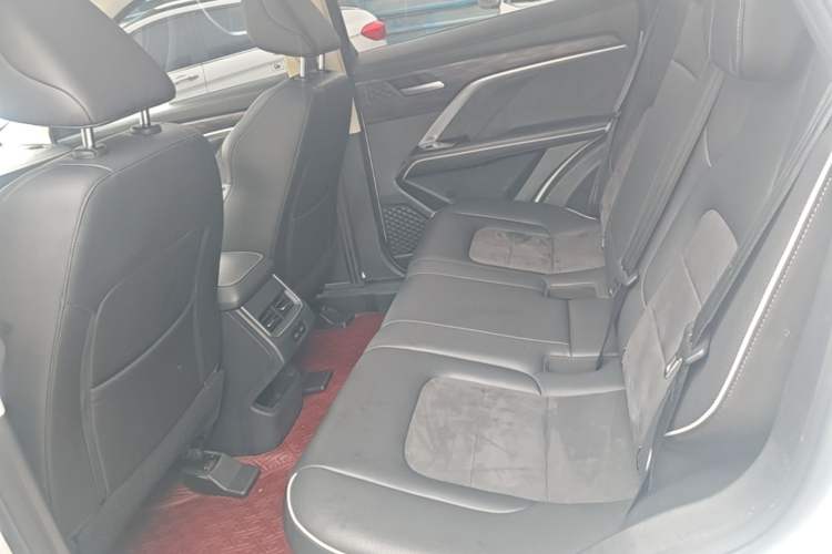 Used Haval H6 2021 National Trend Edition 1.5T Automatic Urban Version Left Rear Seat