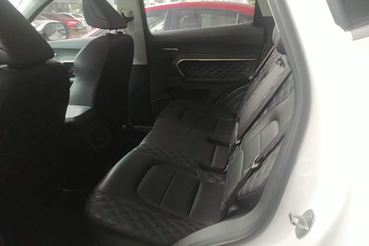 Used Haval H6 2021 1.5T Automatic Urban Edition Left Rear Seat