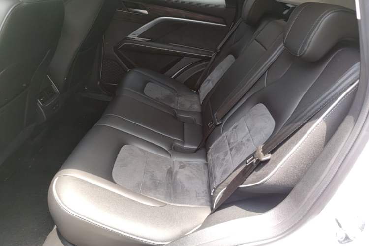 Used Haval H6 2021 National Trend Edition 1.5T Automatic Urban Version Left Rear Seat
