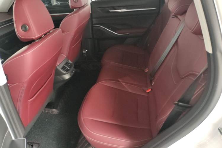 Used Haval H6 2021 3rd Generation 1.5T Automatic Two-Wheel Drive Supreme+ Left Rear Seat